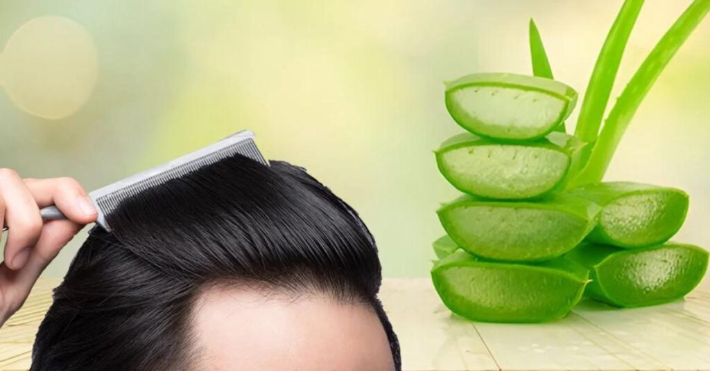 aloe vera cheveux